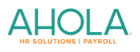 The Ahola Corporation - Payroll and HCM Growth - The Gist - Marketing and Organic Growth Agency - Certified HubSpot Solutions Partner